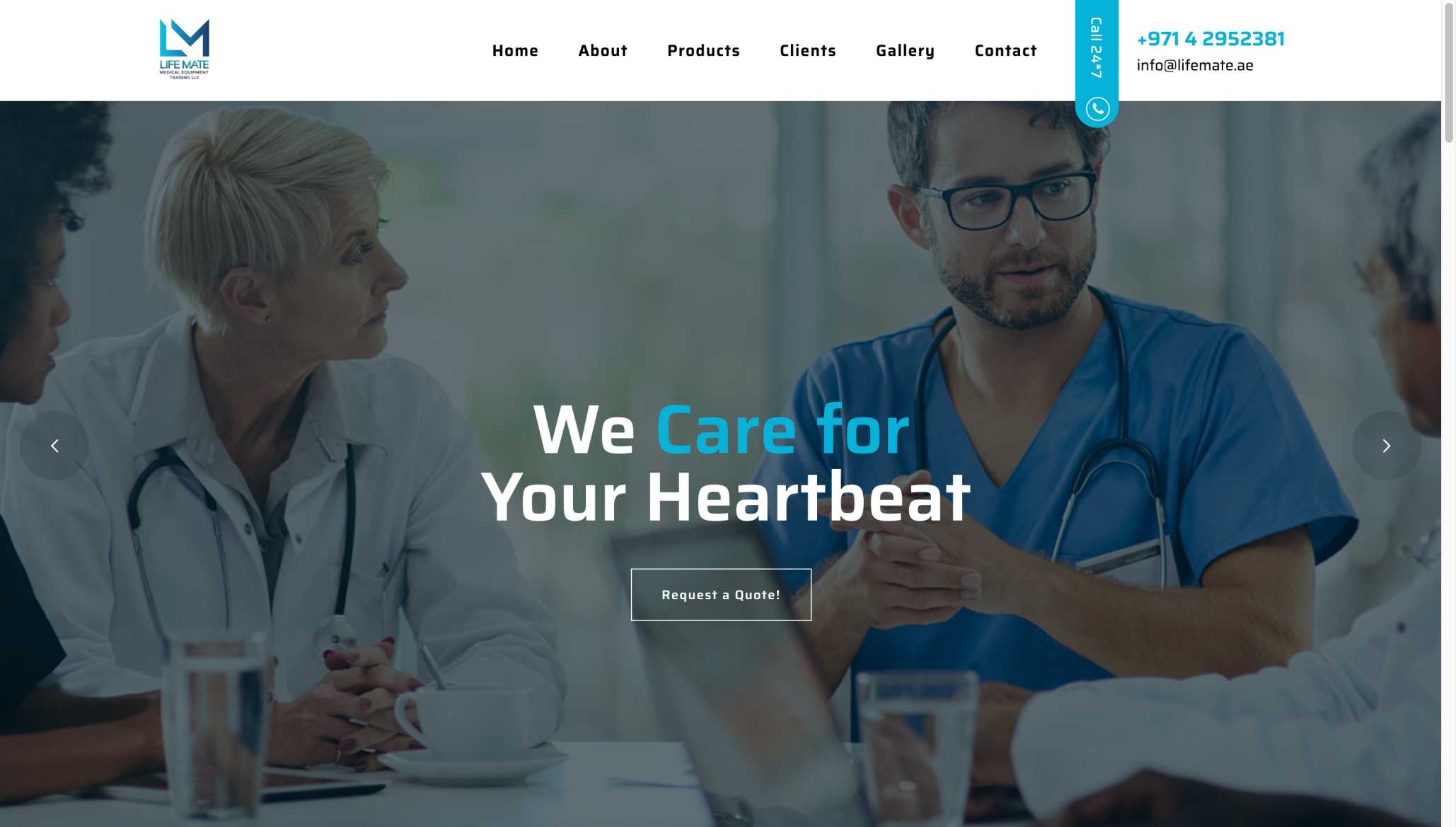 Life Mate website